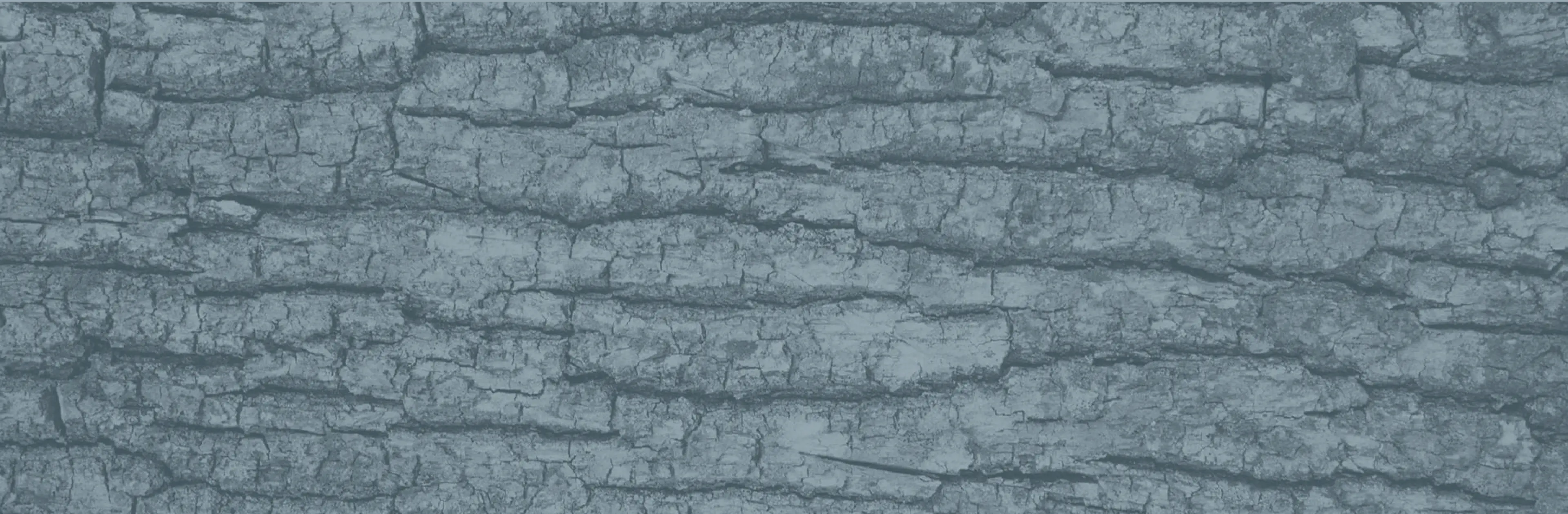 Baum- und Grünanlagenpflege