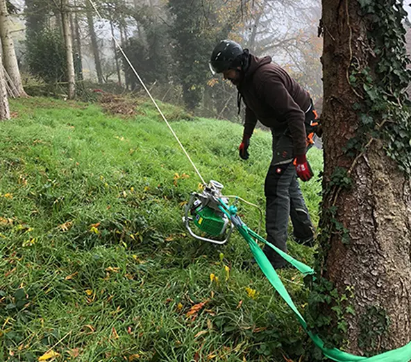 Fällung mit mobiler Spillwinde